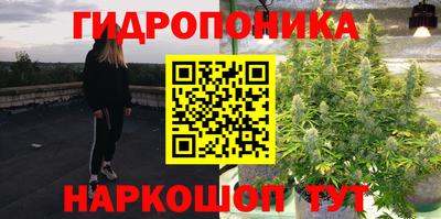 мет Дубна