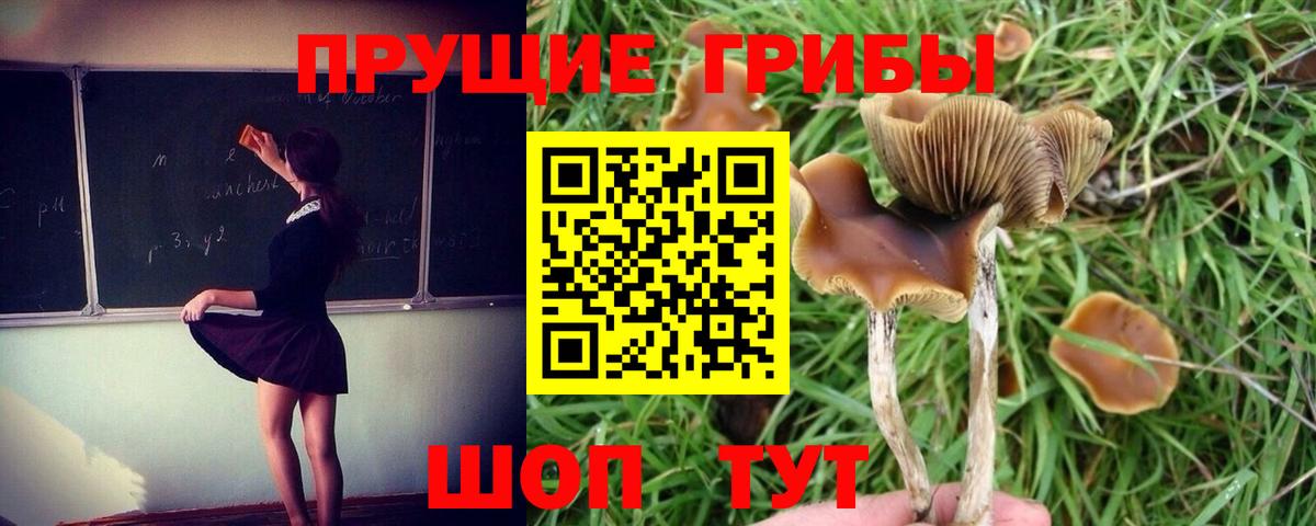 Галлюциногенные грибы ЛСД Менделеевск